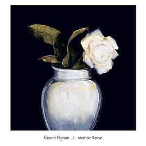    White Rose   Poster by Connie Bryson (13x14)