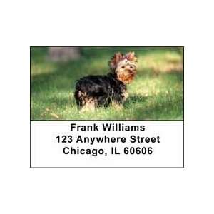  Yorkshire Terrier Address Labels