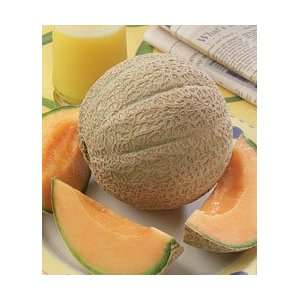  Cantaloupe Hearts of Gold Great Heirloom Vegetable 300 