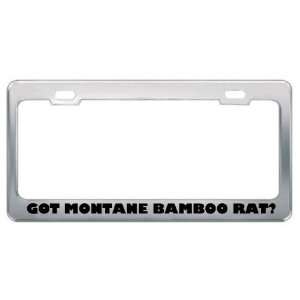Got Montane Bamboo Rat? Animals Pets Metal License Plate Frame Holder 