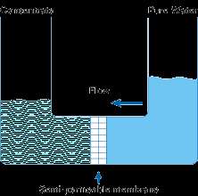   Reef Aquarium Reverse Osmosis RO DI 3 stage water filter  