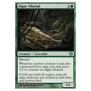  Algae Gharial (Magic the Gathering   Shards of Alara 