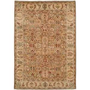  Hri Apadana 1217 Brown/Green 6 X 9 Area Rug