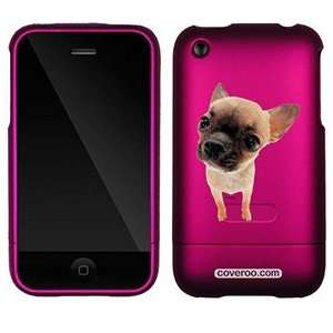  Chihuahua Puppy on AT&T iPhone 3G/3GS Case by Coveroo 