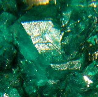 BlueGreen DIOPTASE SharpGem Crystals Kipese Congo  