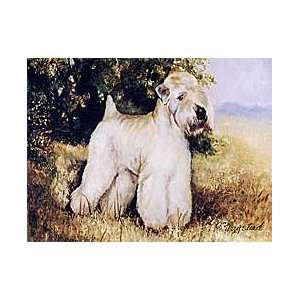  Soft Coated Wheaten Notecards