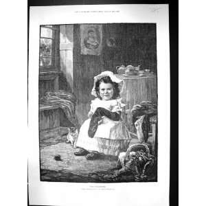  1889 Little Grandmother Young Girl Sewing Socks Kitten 