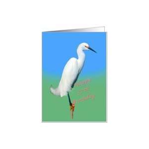  Birthday, 57th, Snowy Egret Bird Card Toys & Games