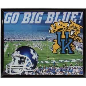   Kentucky Wildcats 8 x 10 Stadium Framed Photograph