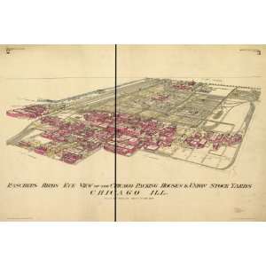    1890 map of Packing houses, Illinois, Chicago