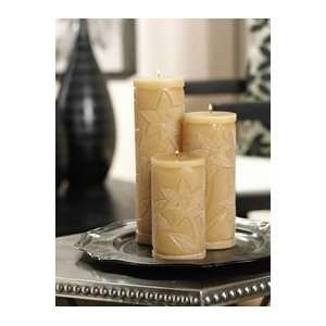    Surrounding Vine Embossed Pillar Candle, 3 x 5.5