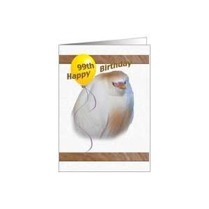  99th Birthday Card with Cattle Egret Card Toys & Games