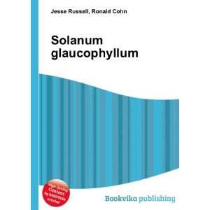  Solanum glaucophyllum Ronald Cohn Jesse Russell Books