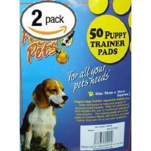 com KAZE Dry Floor Protection and Training Pads for Puppies and Dogs 