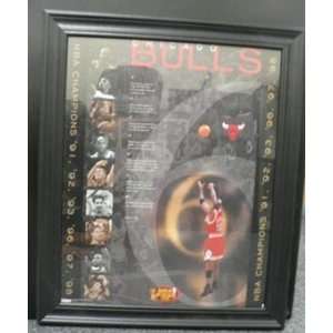   Michael Jordan Huge Framed+Glass 16x20 NBA Bulls #4
