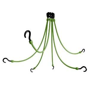  The Perfect Bungee 6 Arm 24 Inch Flex Web, JD Green Pet 