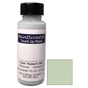 of Sage Green Poly Touch Up Paint for 1965 Chrysler All Models (color 