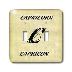 Florene Zodiac Signs   Capricorn   Light Switch Covers   double toggle 