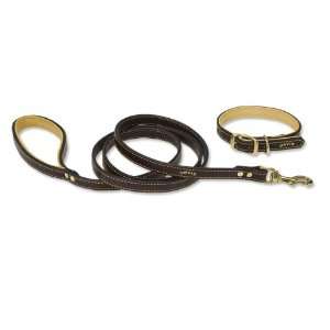  Leather/Deerskin Collar And Lead / (Leather/Deerskin 