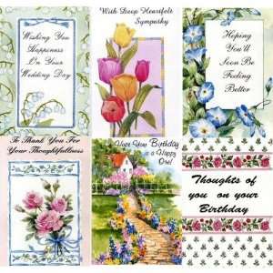 All Purpose Greeting Card Assortment Case Pack 300