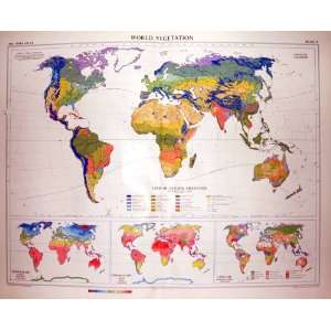   Colour Map 1958 World Vegetation Temperature Land Use