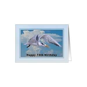  Happy Birthday, 74th, Royal Tern Bird Card Toys & Games