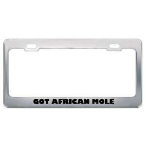  Got African Mole Lemming? Animals Pets Metal License Plate 