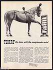 1943 Terry the Horse with the Comptometer Mind photo ad