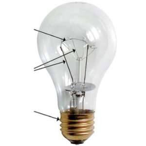 Long Life Lightbulbs 100W Clear (pkg of 6)