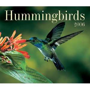  Hummingbirds 2006 (9781552972267) Firefly Books Books