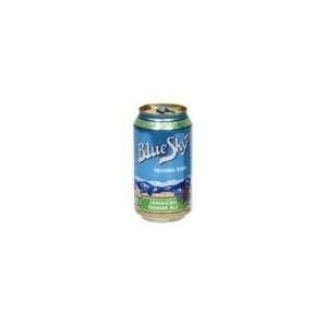  Blue Sky Jamaican Ginger Ale Soda ( 4x6 PK) Everything 