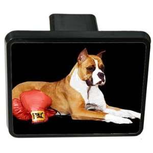 Boxer Trailer Hitch Cover