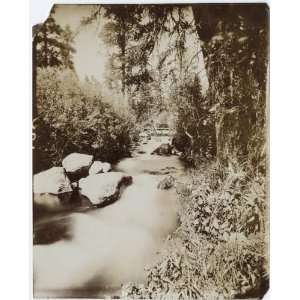   Plateau.Character of streams up in the mountains. 1872