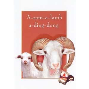  Ram A Lamb A, Goats & Sheep Note Card by Nancy Tillman 