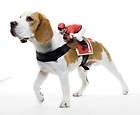dog rider doggie costume jockey one size new one day shipping 
