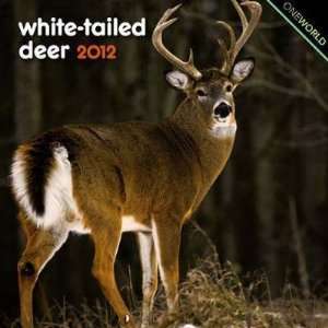  White Tailed Deer 2012 Small Wall Calendar Office 