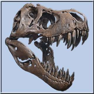 3D T Rex Skeleton Fossil Dinosaur Paleontologist T Shirt S,M,L,XL,2X 