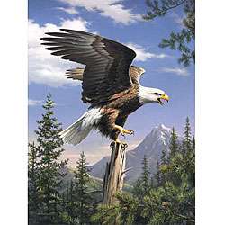   Artist Collection Screaming Eagle Paint by Number  