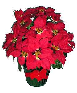 Potted Red Silk Poinsettia Bush (Large)  