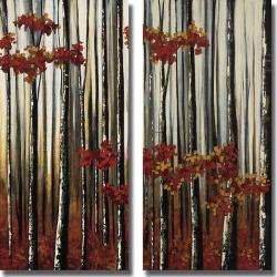   Soler Beauty Within I and II 2 piece Canvas Art Set  