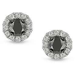 14k Gold 1/2ct TDW Black and White Diamond Earrings (H I, I2 I3 