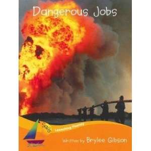  Dangerous Jobs (9781418910020) Brylee Gibson Books