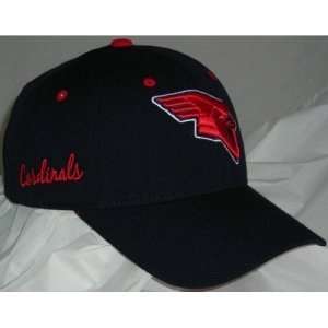 Saginaw Valley State Triple Conference Adjustable NCAA Cap (Team 