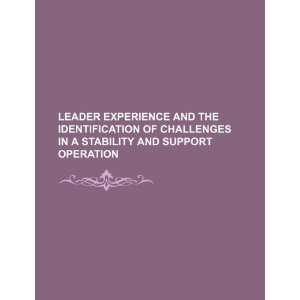  Leader experience and the identification of challenges in 