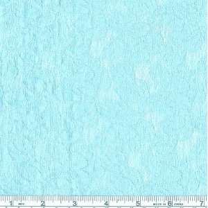  60 Wide Stretch Lace Carino Robins Egg Blue Fabric By 