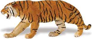 We carry the Bengal Tiger Mother