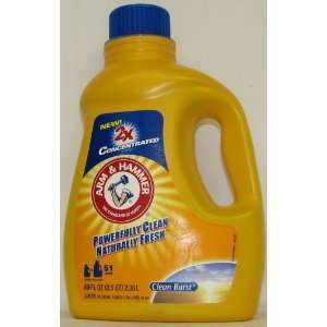 Arm & Hammer 2x Concentrated Powerfully Clean Naturally Fresh Clean 