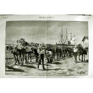  1882 HOUSEHOLD CAVALRY SOLDIERS EGYPT LYDIAN MONARCH