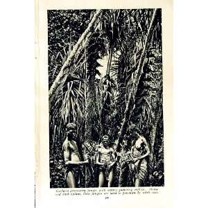  c1920 NATIVES JUNGLE TREES KARUNDI WARRIOR DECORATIONS 