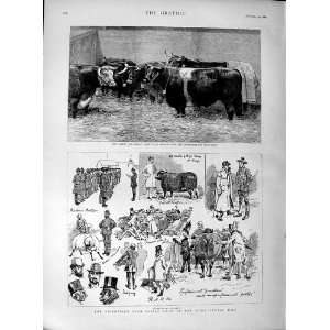    1889 Queen Prize Cattle Smithfield Club Cattle Show